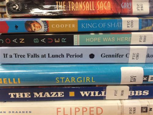 Summer reading 